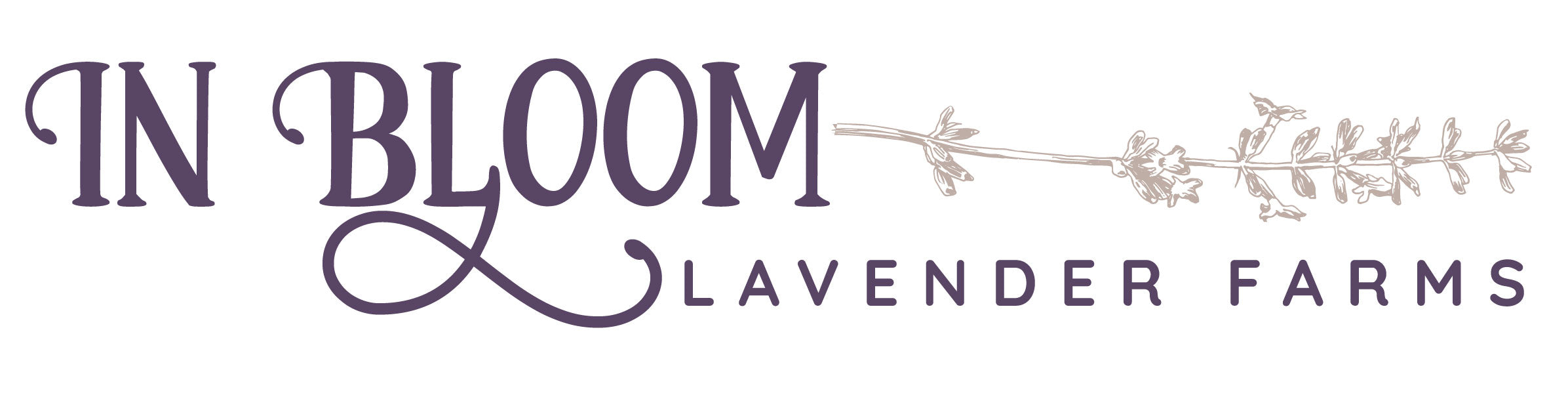 In Bloom Lavender Farms